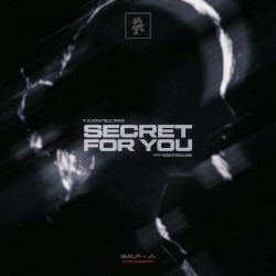 Secret for You