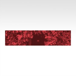 Dream in Red