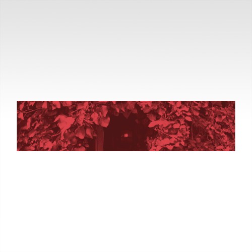 Dream in Red