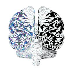 Dual-Brained¹