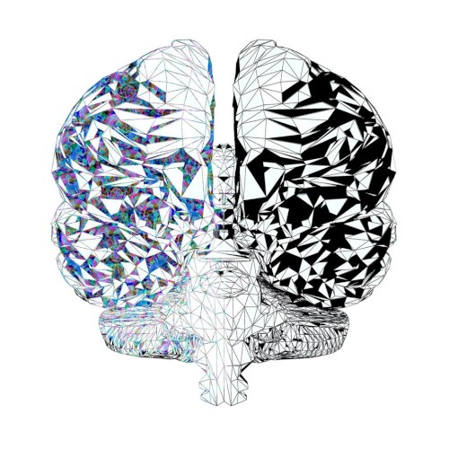 Dual-Brained¹