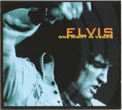One Night in Vegas