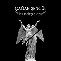 Bir Meleğin Özü