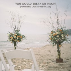 You Could Break My Heart