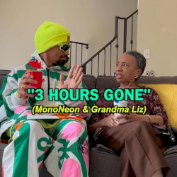 3 Hours Gone
