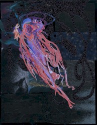 Siphonophore
