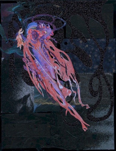 Siphonophore