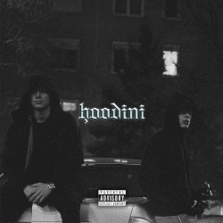 Hoodini