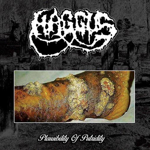 Plausibility of Putridity