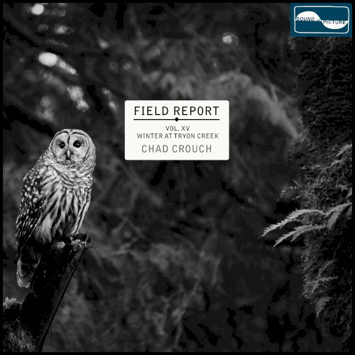 Field Report Vol. XV: Winter at Tryon Creek