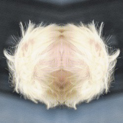 Contempt