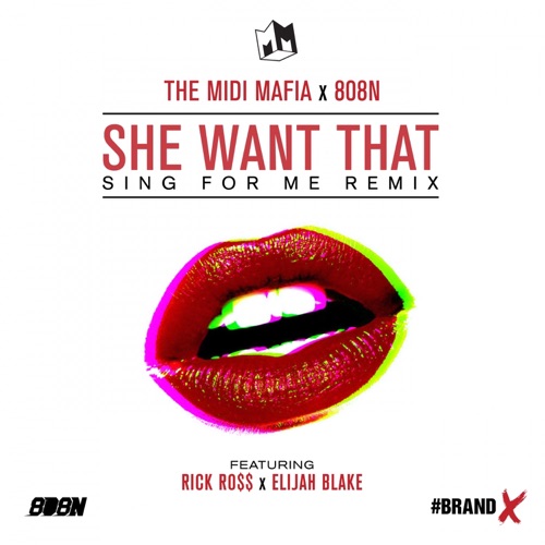 She Want That (Sing for Me remix)