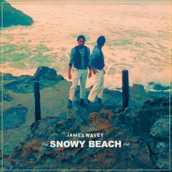 James Wavey Snowy Beach