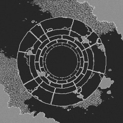 Downwell