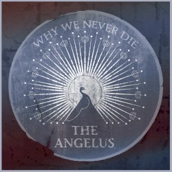 Why We Never Die