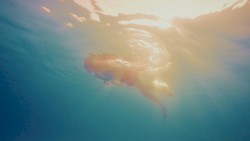 Underwater