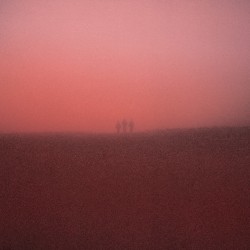 Fog Infinite