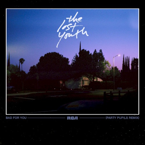Bad For You (Party Pupils remix)
