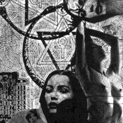 Reflective Flesh