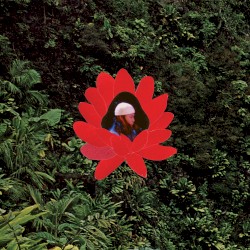 When The Flowers Bloom