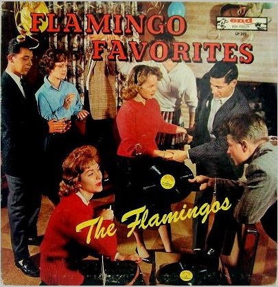 Flamingo Favorites