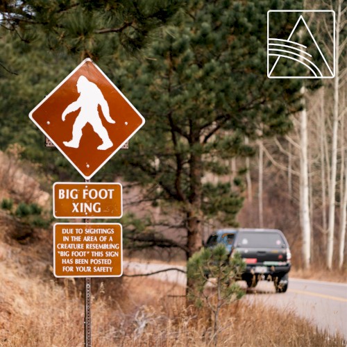 Follow the Road