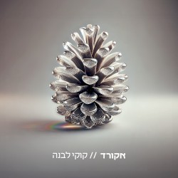 אקורד