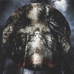 The Woods Whisper for Another Death