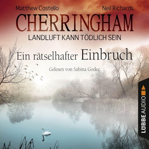 Ein rätselhafter Einbruch