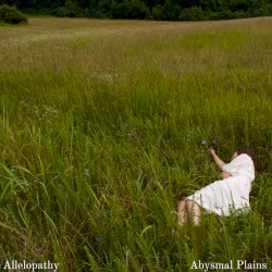 Allelopathy