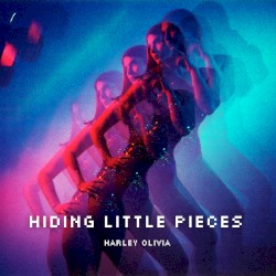 Hiding Little Pieces