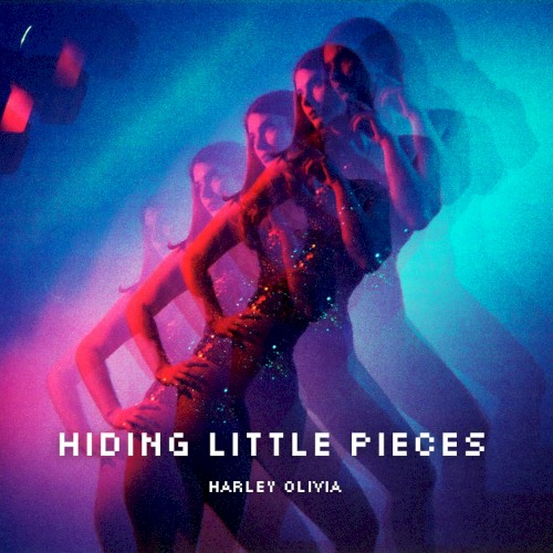 Hiding Little Pieces