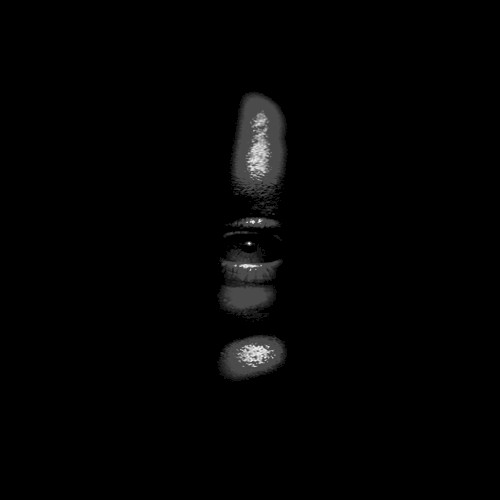 STALKER