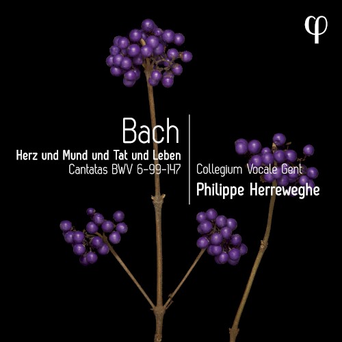 Herz und Mund und Tat und Leben: Cantatas BWV 6-99-147