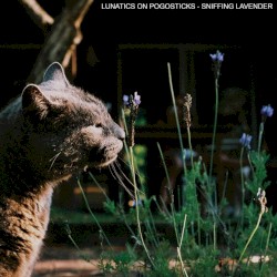 Sniffing Lavender