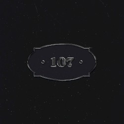 Stanza 107