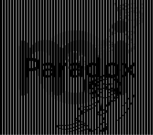 おやすみパラドックス / ジェニーはご機嫌ななめ