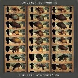 Pas de non-conformité sur les points contrôlés