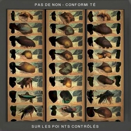 Pas de non-conformité sur les points contrôlés