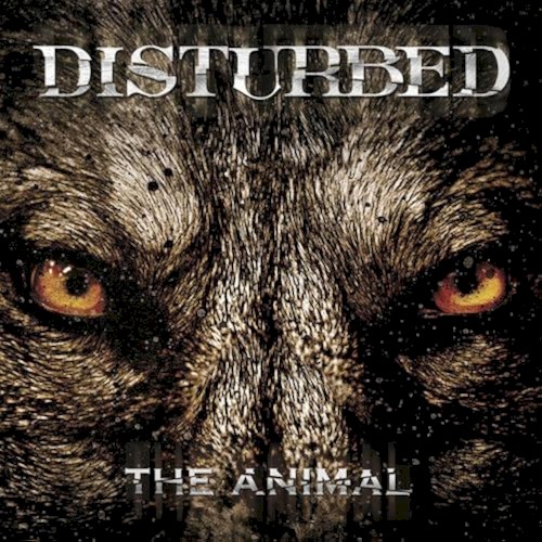 The Animal