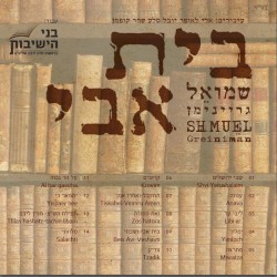 בית אבי