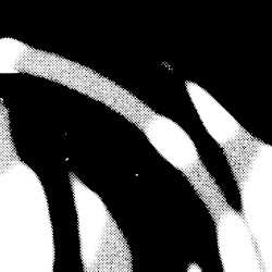 Flesh Impact