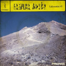 Laboratòri #1