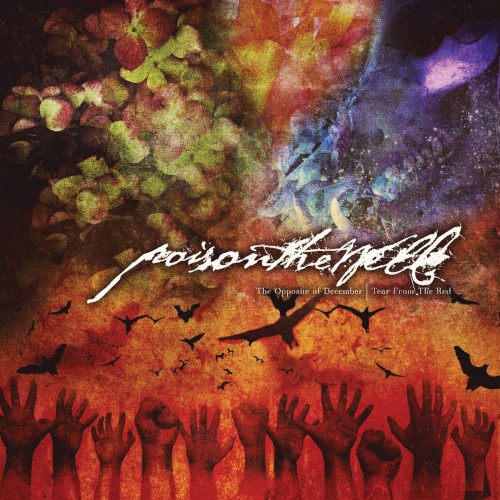 The Opposite of December / Tear From the Red