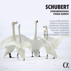 Schwanengesang / String Quintet