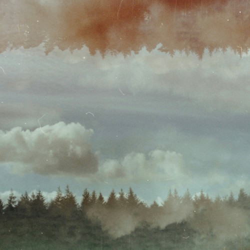 Suburban Field Recordings (Vol. 4)
