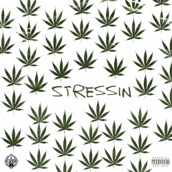 Stressin
