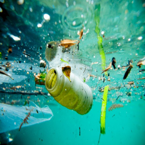 022: What's in Our Water?