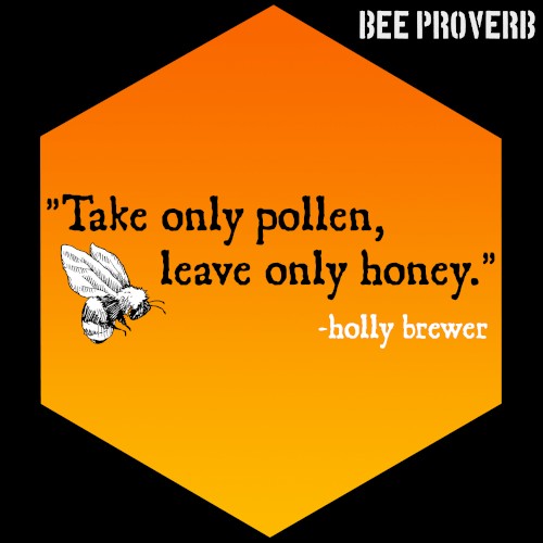 Bee Proverb (Field mix)