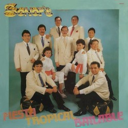Fiesta tropical bailable